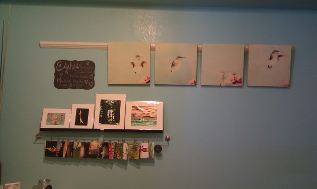 my hummingbird canvas set and some matted prints as well as art cards